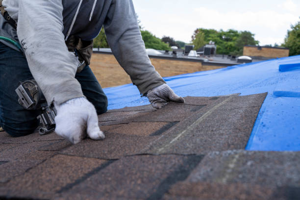 Professional Roofing Contractor in Morse, LA